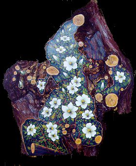 Painting on cedar burl